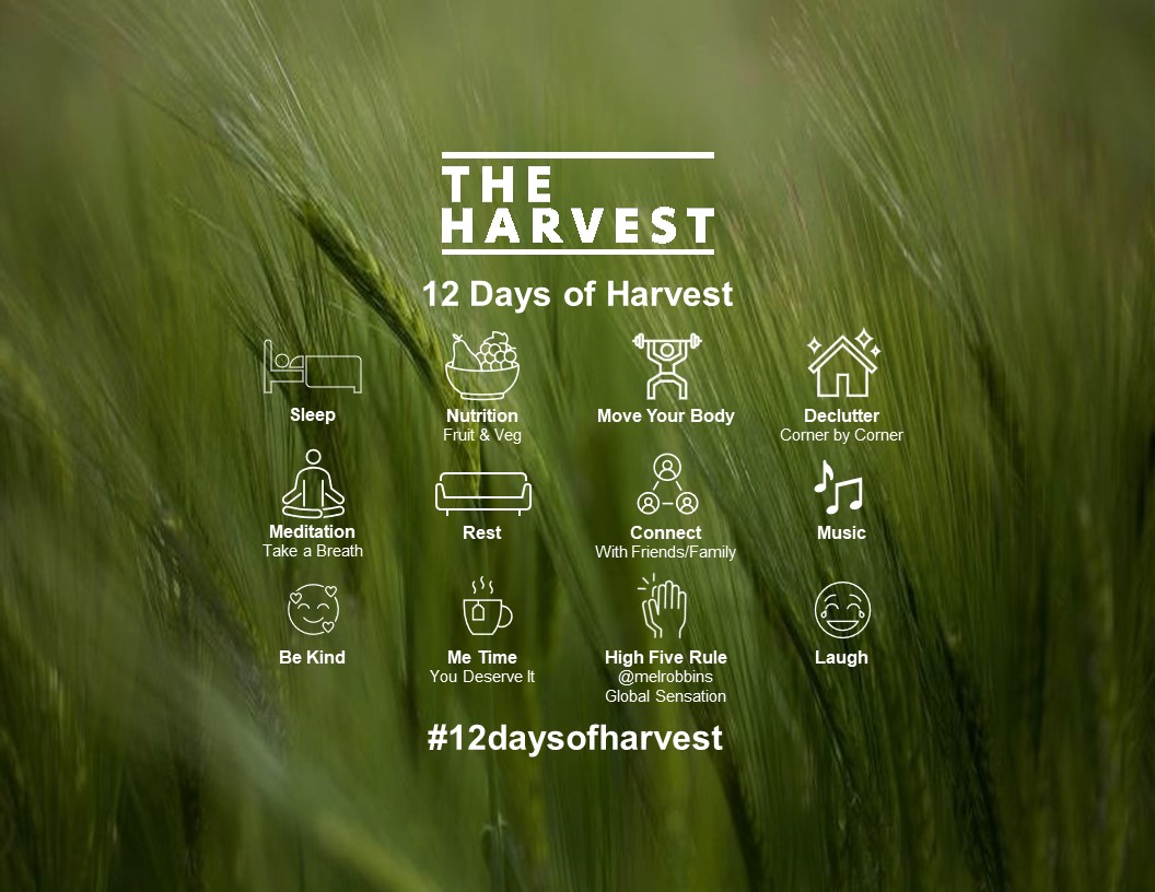 12 Days of Harvest